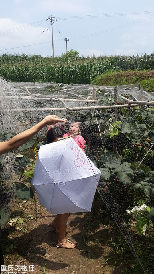 摘葡萄，观荷花，钓鱼儿-说走就走的亲子游
