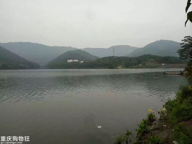 摘葡萄，观荷花，钓鱼儿-说走就走的亲子游