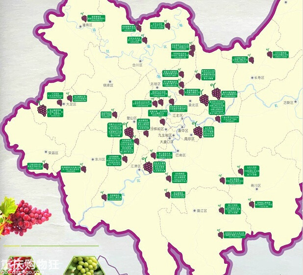 重庆可以摘葡萄的地方，重庆摘葡萄攻略+地图