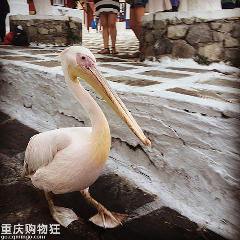 【双鱼座的浪漫蜜月】17天自由行深度玩转希意【全部更完】