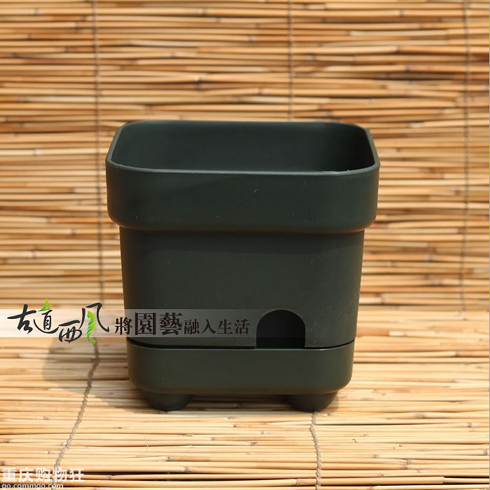 【多肉盆土】好用的多肉地气控根盆和多种花土