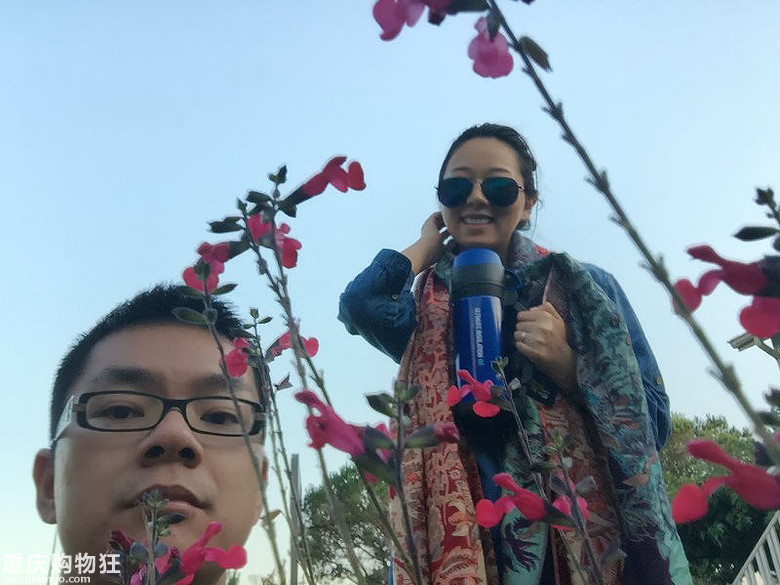 一年一次旅行贴--欧洲