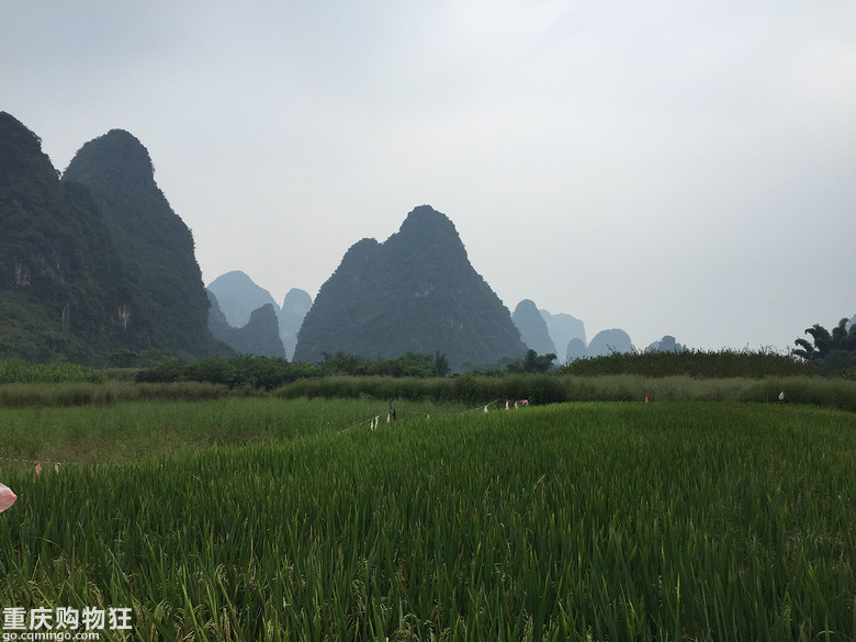 阳朔4天骑行之乐