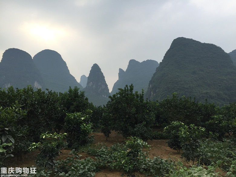 阳朔4天骑行之乐