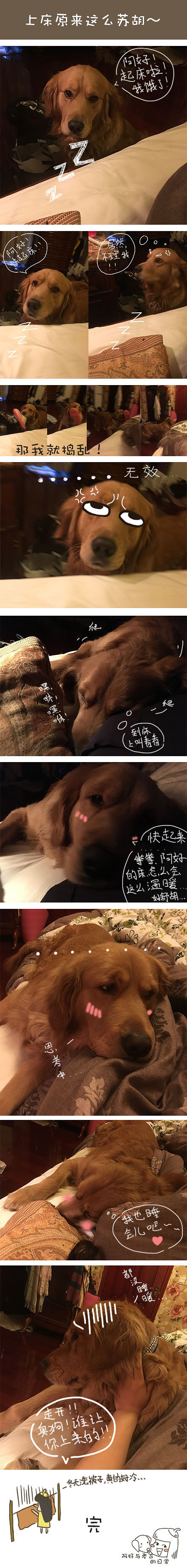 皮皮菇和老古的日常（长期更新。。）