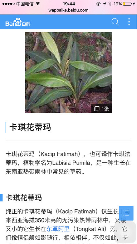 卡琪花蒂玛 这个要一公斤起卖 我要不到 潮流消费 重庆购物狂