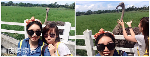 #屌丝姐妹花の逃跑计划#泥嚎！TAIWAN！+【车旅无忧大赛】
