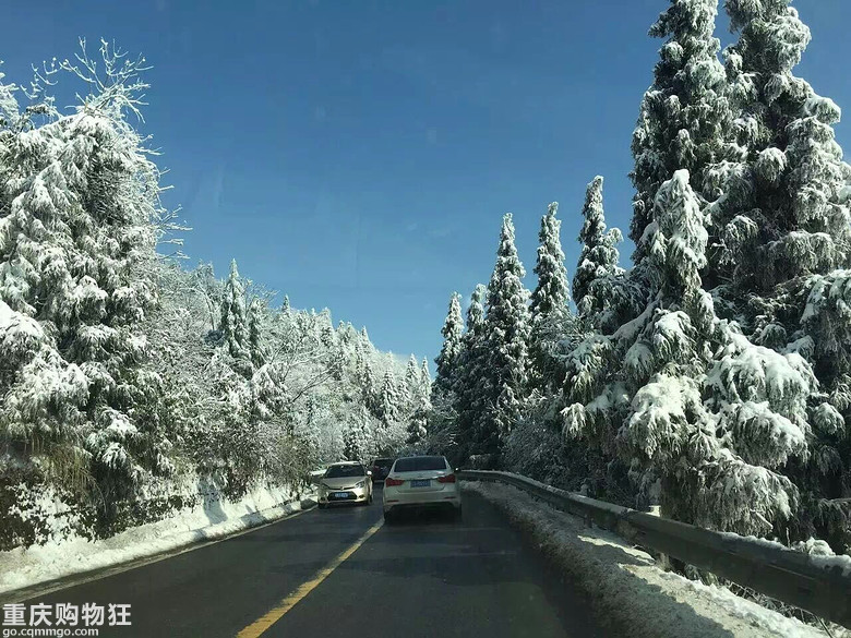 道路畅通 除雪给力   武隆仙女山景区今日正常迎客