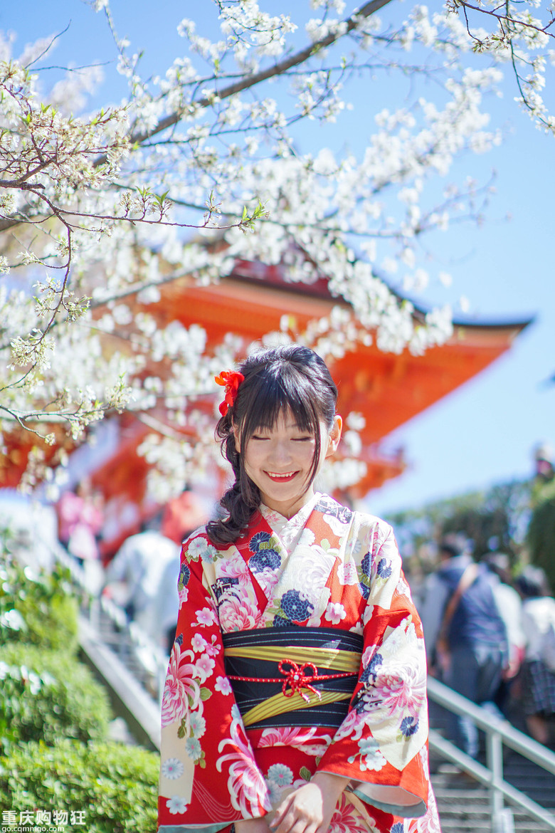 【花见关西】最浪漫的一抹樱花粉 大阪京都奈良赏樱 超多美图