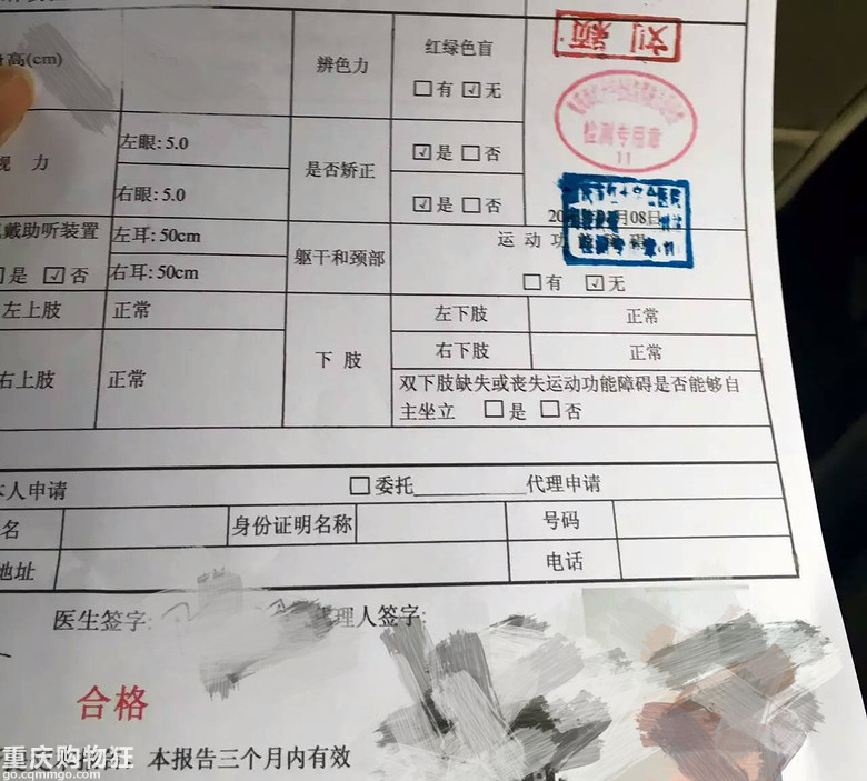 鱼白白学车记