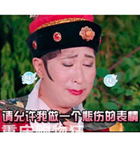 春光无限好，带你喝酒带你飞~【购物狂试吃M99世界啤酒】