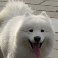 fafafafafafafafadfzcxzcxczczxcczx_图2