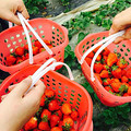 我在等你。。。(女征男)_图4