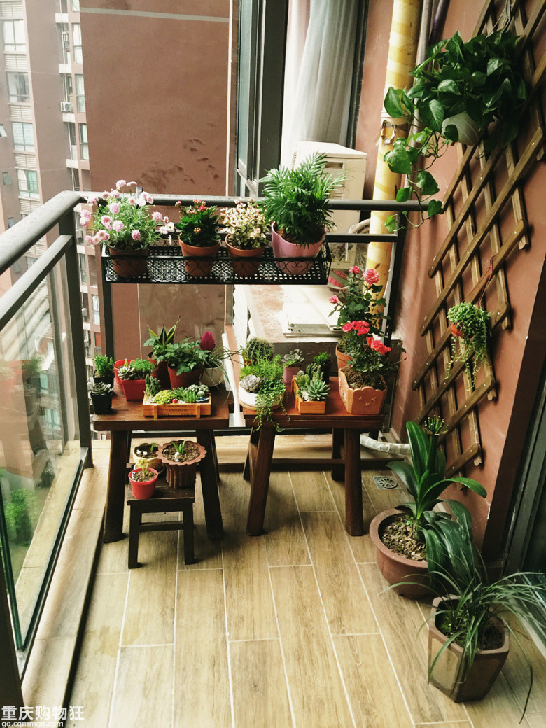 【晒阳台】kk小花园