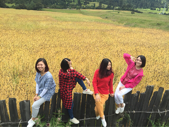 2015年是难忘的一年，经历了扯证闪离，