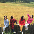 2015年是难忘的一年，经历了扯证闪离，
