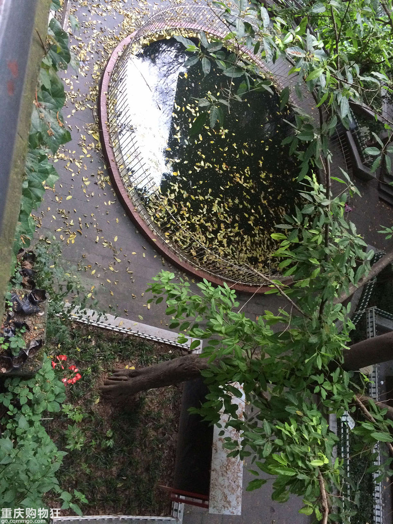 调皮的小时候