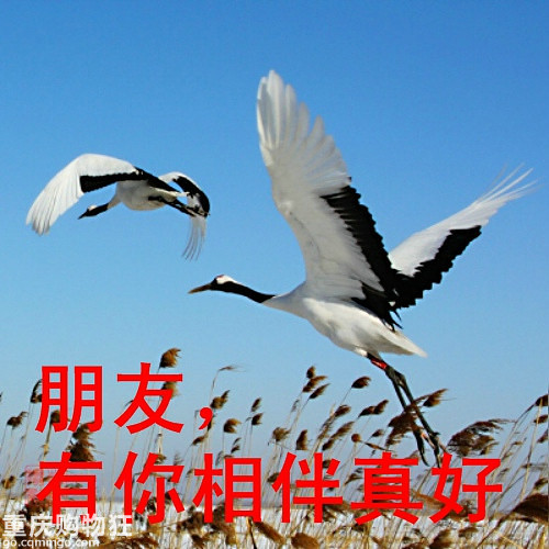 边走边看