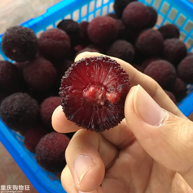一年就只吃到这么14天!自驾仙居探寻传说中的“乒乓球杨梅”