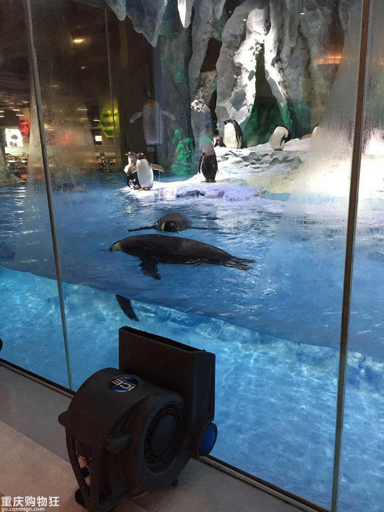 2016方小妹爱旅游——珠海、澳门、广州