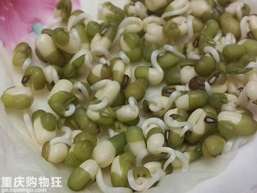 一个可乐瓶子就能种出来一家人吃的豆芽