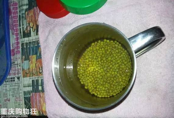一个可乐瓶子就能种出来一家人吃的豆芽
