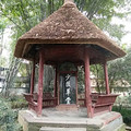 圣诞杜甫草堂一日游
