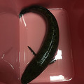 一鱼三吃