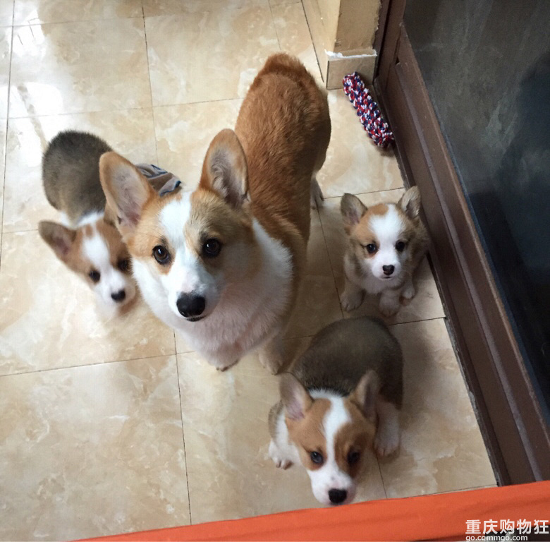 曾经的编制外,现在的豆姐