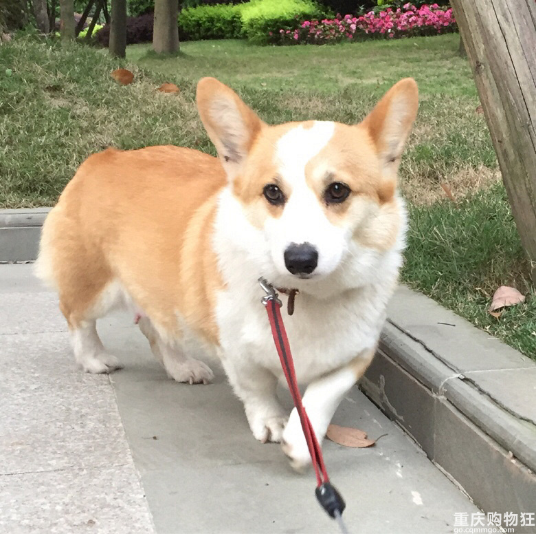 曾经的编制外,现在的豆姐