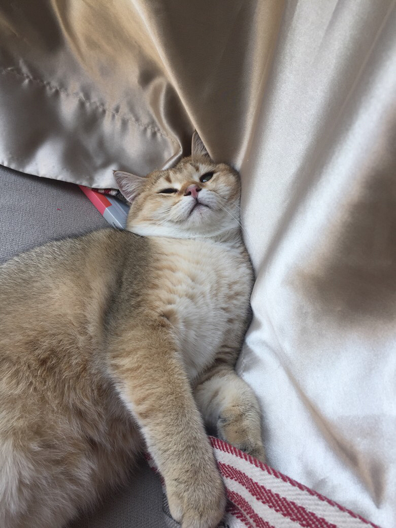 һ