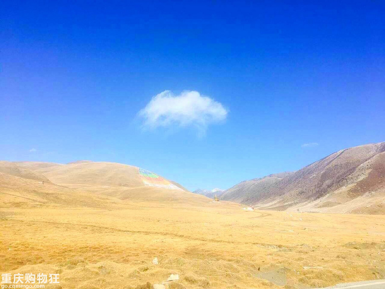 怎么办，好像失恋了。。。。