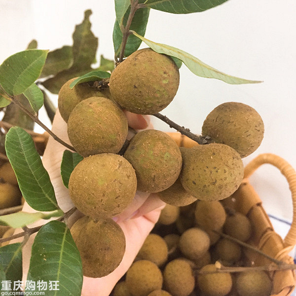 【闪团】新疆蟠桃120元7.5斤包邮，攀枝花桂圆78元5斤包邮！