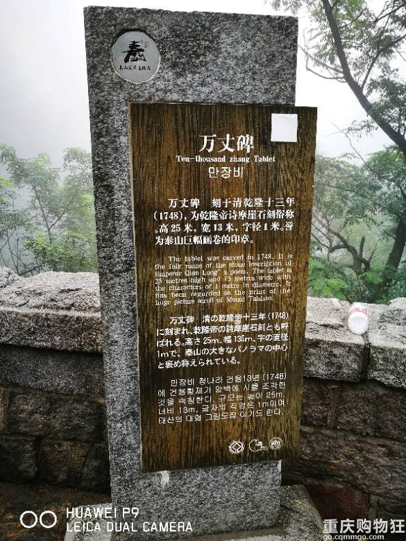 意外的泰山青岛游