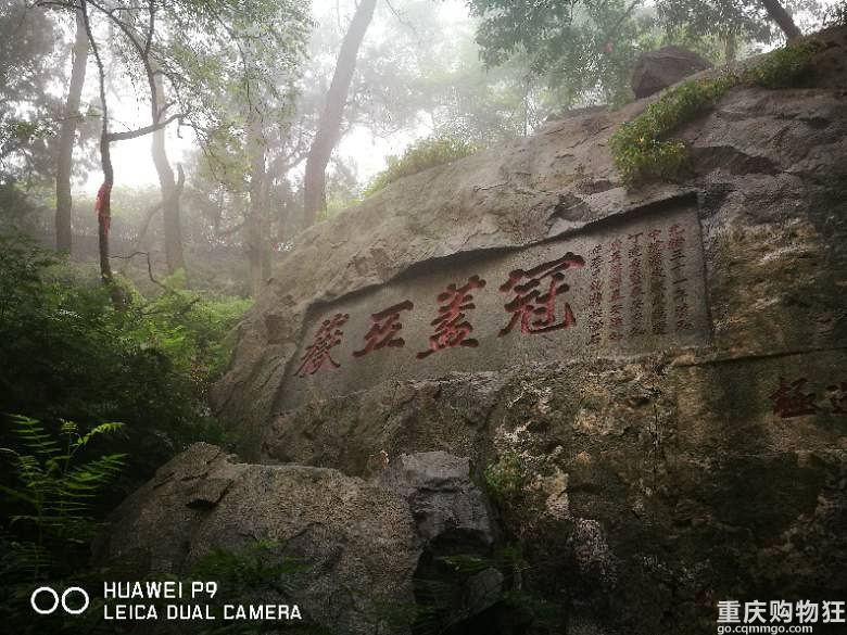 意外的泰山青岛游