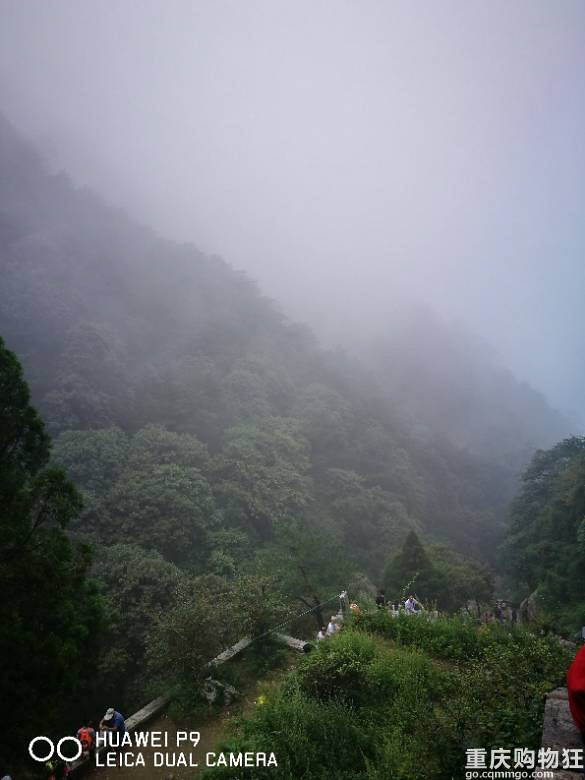 意外的泰山青岛游