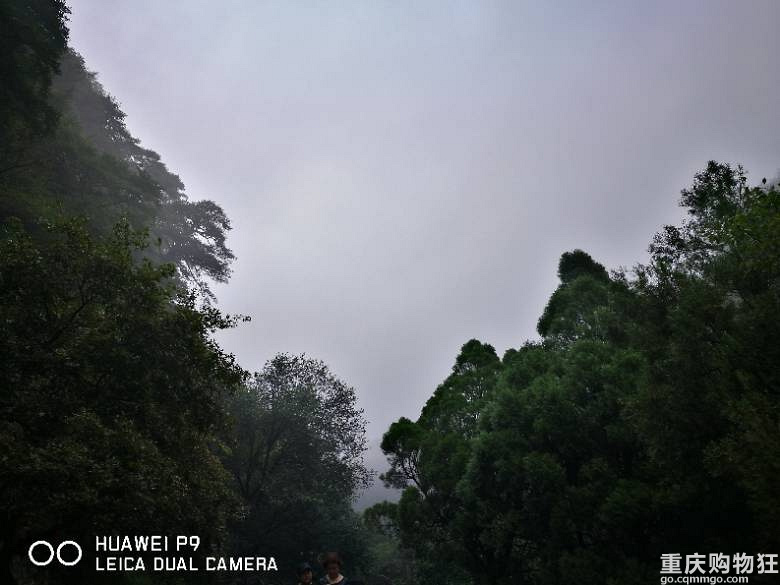 意外的泰山青岛游