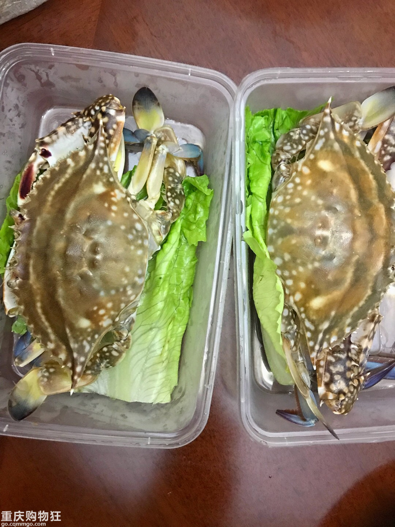 之前坛子里推荐的一家海鲜店，可外卖，可堂食。