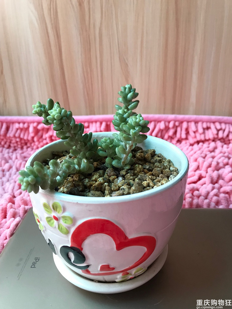 今天终于休息一天