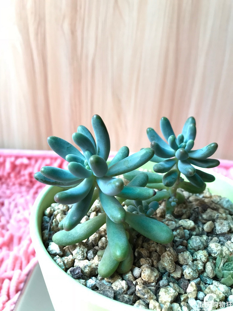 今天终于休息一天