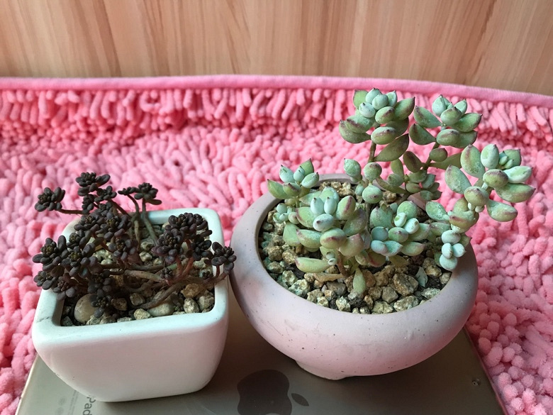 今天终于休息一天