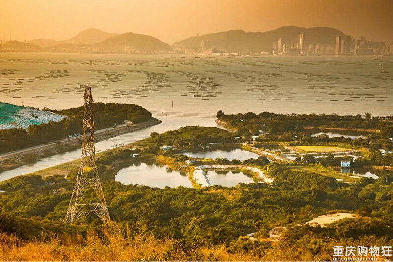 你根本没去过香港