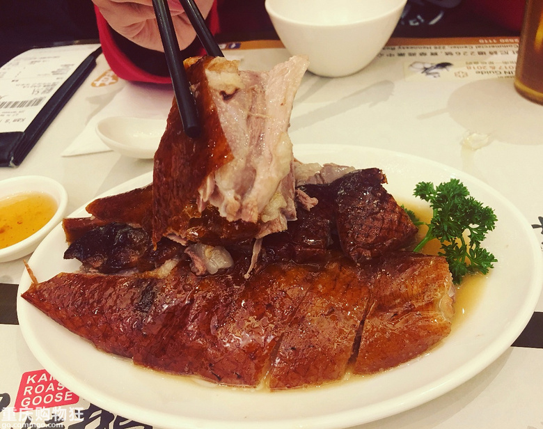 这个冬天，我被日本圈粉了+【新年游记大赛】
