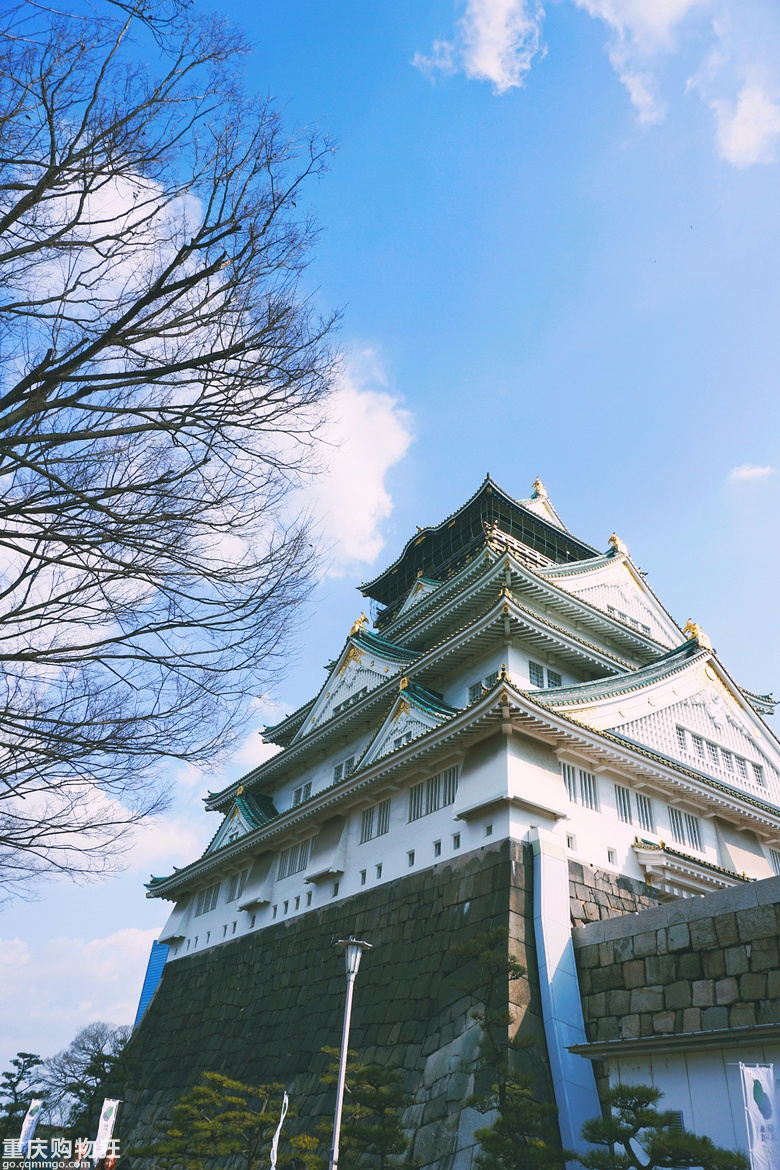 这个冬天，我被日本圈粉了+【新年游记大赛】