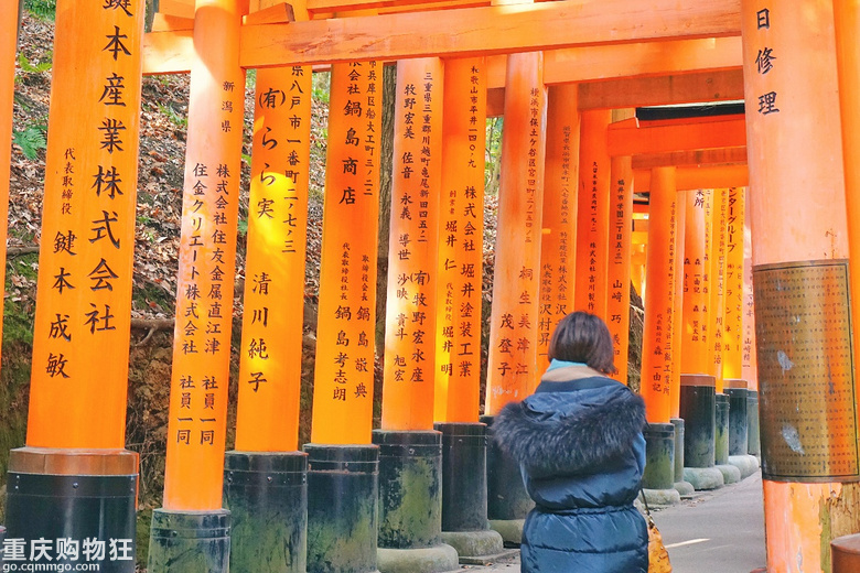 这个冬天，我被日本圈粉了+【新年游记大赛】