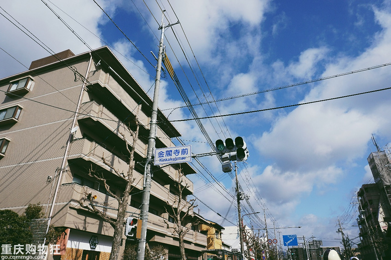 这个冬天，我被日本圈粉了+【新年游记大赛】