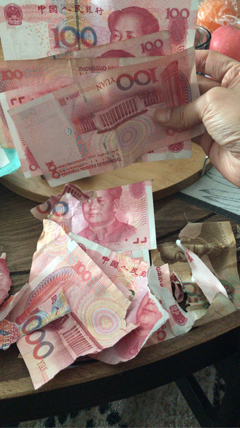 从来不撕家，但是生起气来把钱撕了的哈士奇你肯定第一次见…