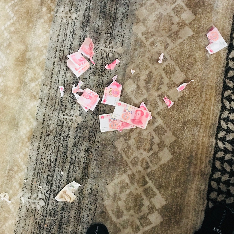 从来不撕家，但是生起气来把钱撕了的哈士奇你肯定第一次见…