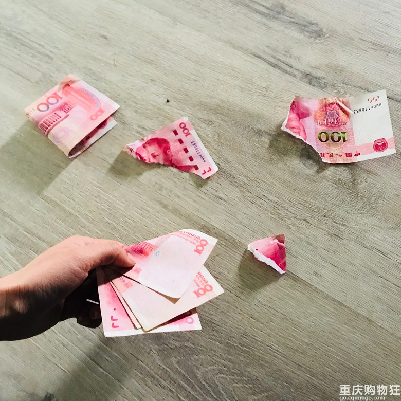 从来不撕家，但是生起气来把钱撕了的哈士奇你肯定第一次见…