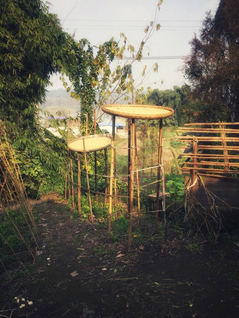 天气大好手机扫街:合川大石镇利泽老街!